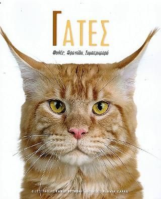 Φωτογραφία από Γάτες
